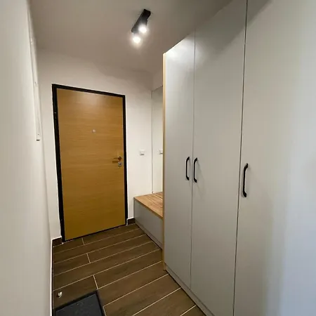 V5 Τζαχορίνα